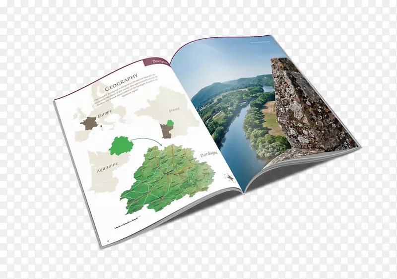 ��ʳ����ʳ����Ӱ��ֽ���ο�͵�-������