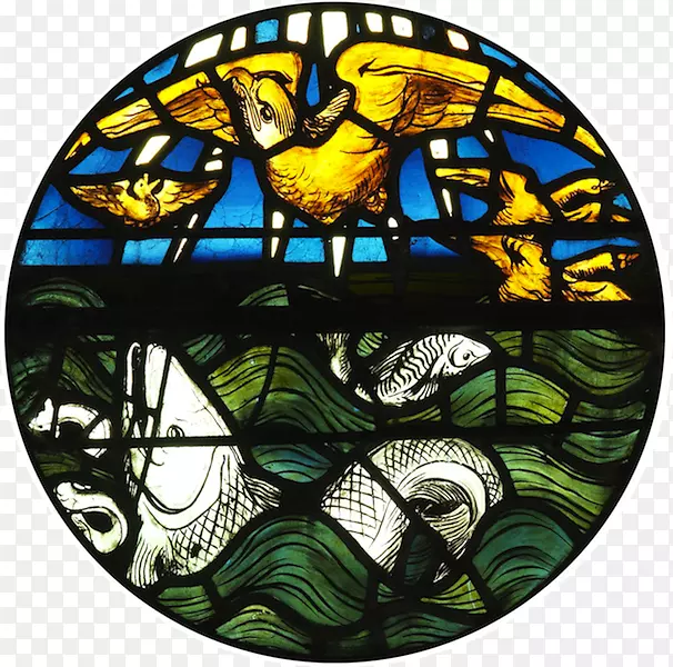 ��ɫ��������-������