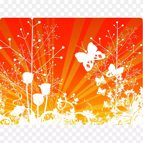 �����ֽ����������ѧ��ֽ-������