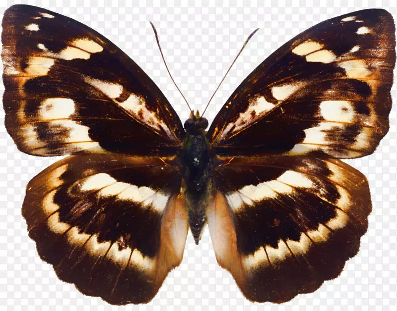 �����������ֽڼ�����-��������-������