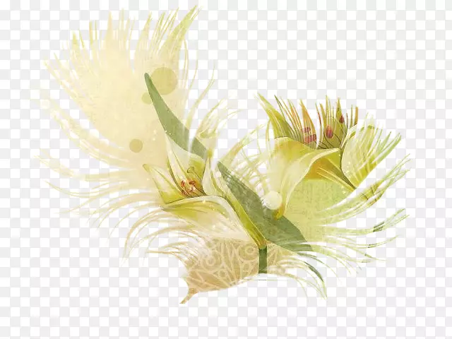 Internet���С����ƺ�ճ��-������