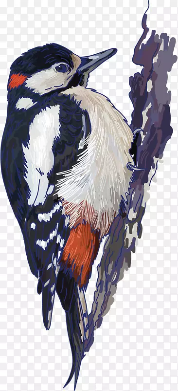 ��-������