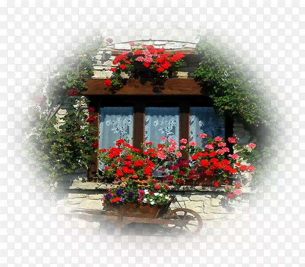 ������������ֽ���Կ���ֲ��.���-������