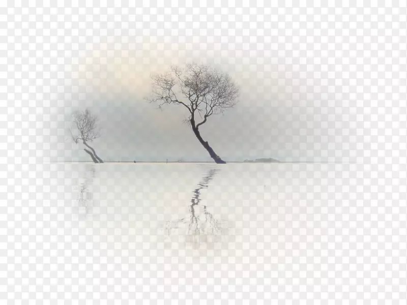 �����ֽ��Ӱľ��/m/083vt-ľ��-������