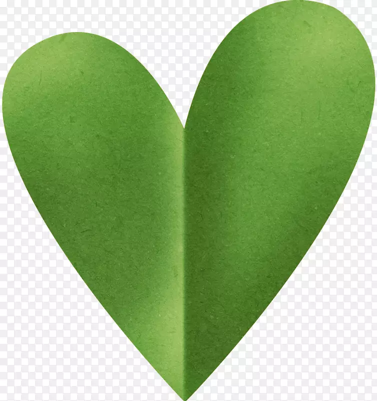 ��ɫ-������