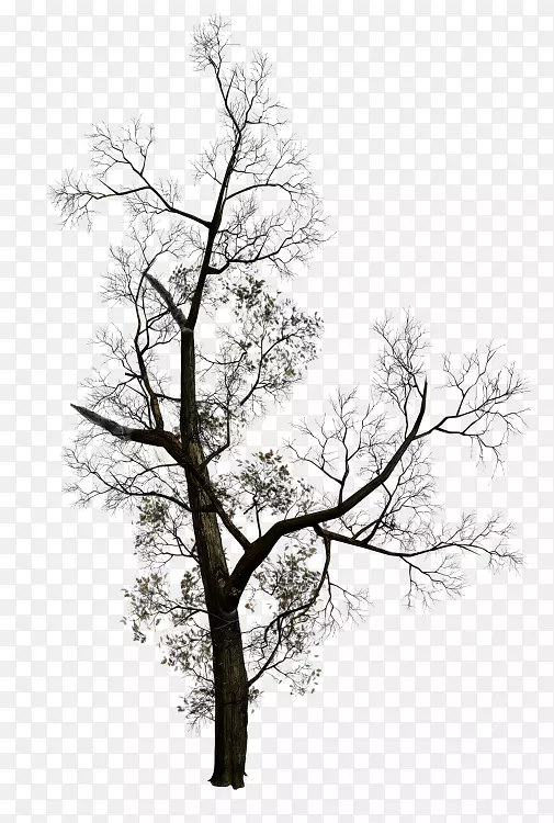 ��֦������-��-������