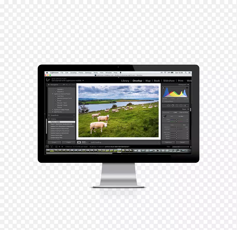 ���Ƶ����������Ӧ��ҳ���ƽ�����-���-������