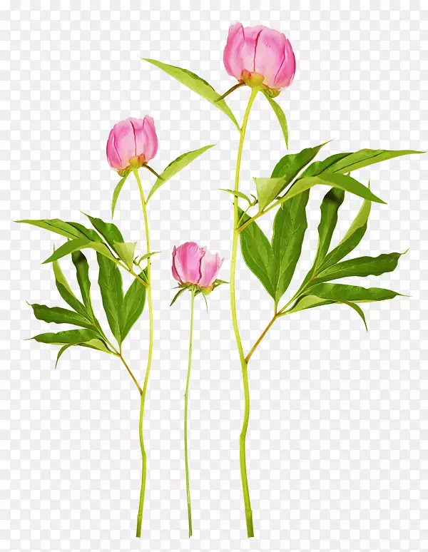 ĵ��������-ĵ��-������