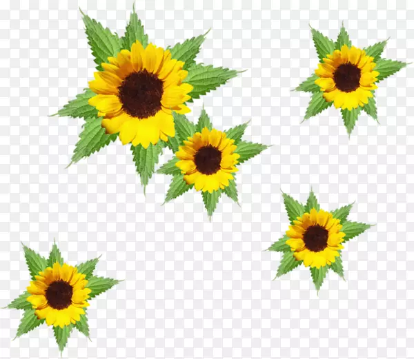 ��ͨ���տ������ֽ��������������-������