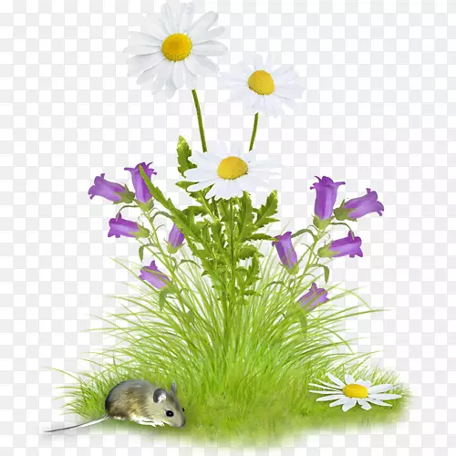 �廨����-������