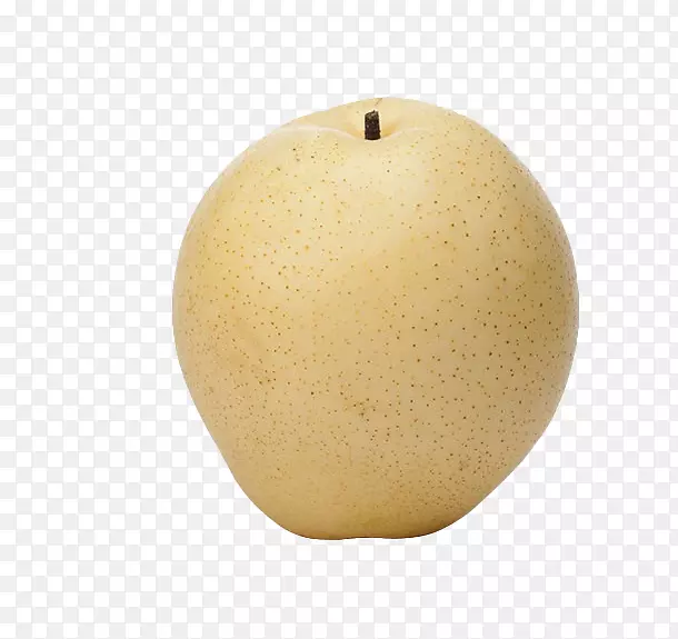 ������ѩƬ��ѩ��-������