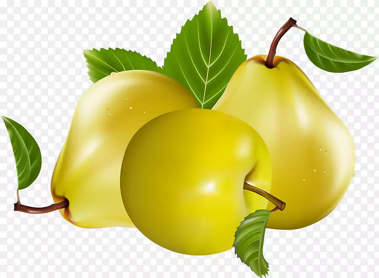 ��ƻ����Ѽ�����-��-������