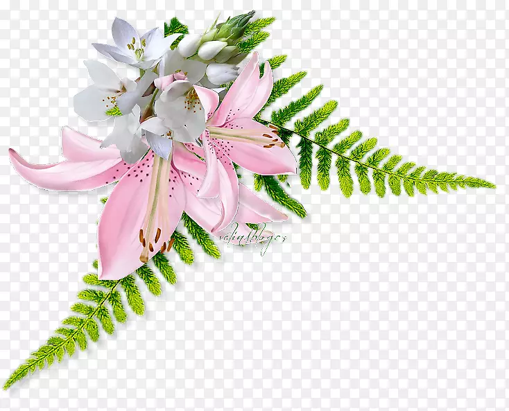 �л������������-��-������