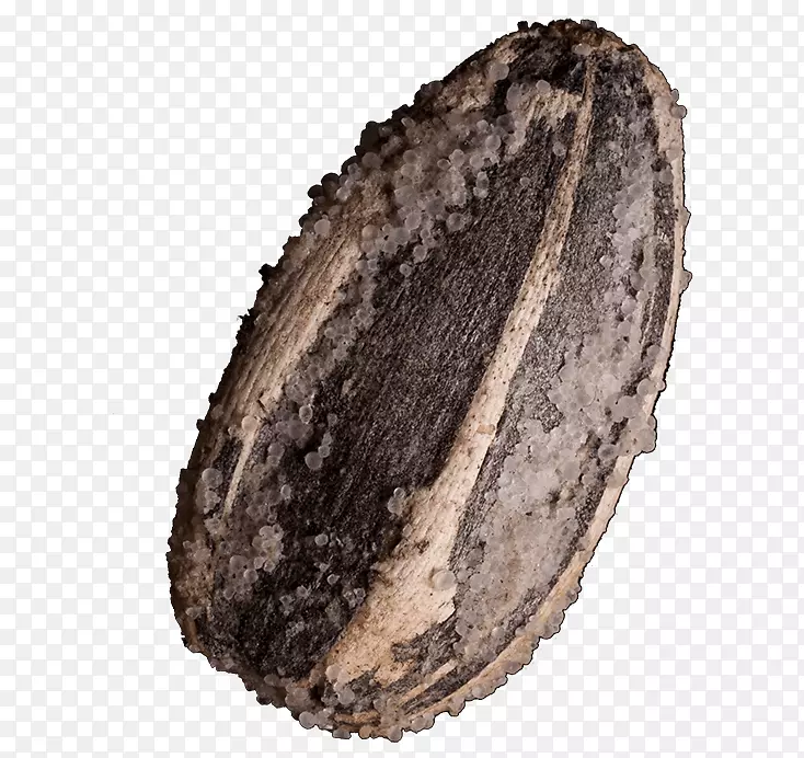 ���տ��Ѻ�«��ͨ���տ����ʳƷ-������