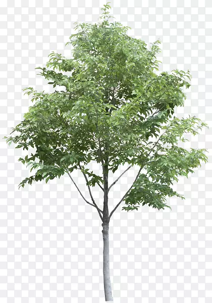 ��-��-������