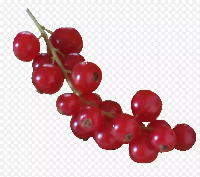 ���������-������