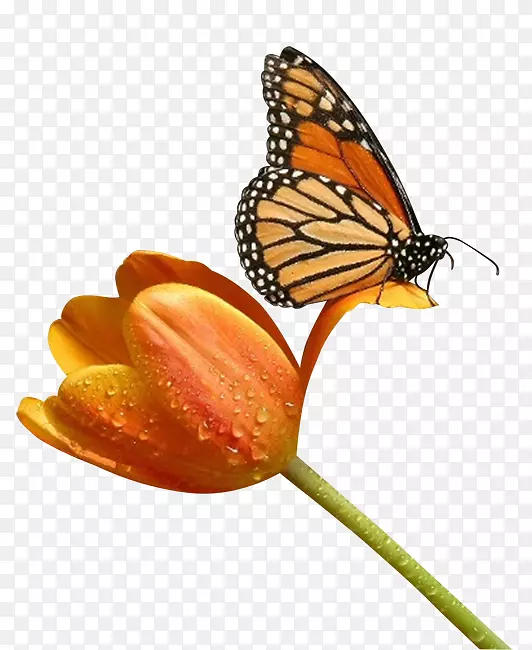 �������������-��������-������