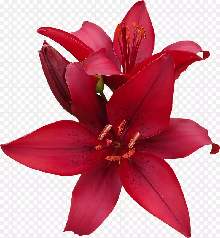 �ٺ��л��������-������