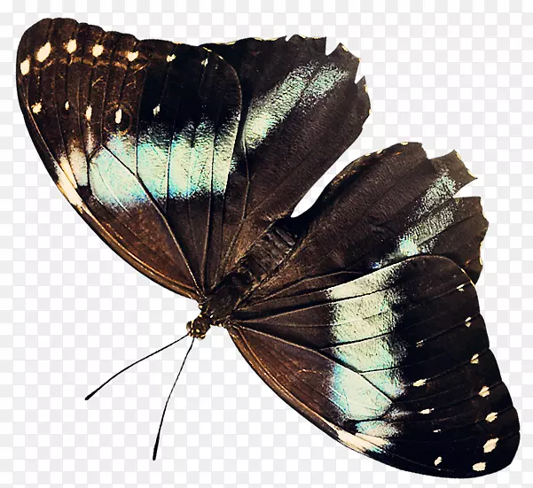 ���������-��������-������