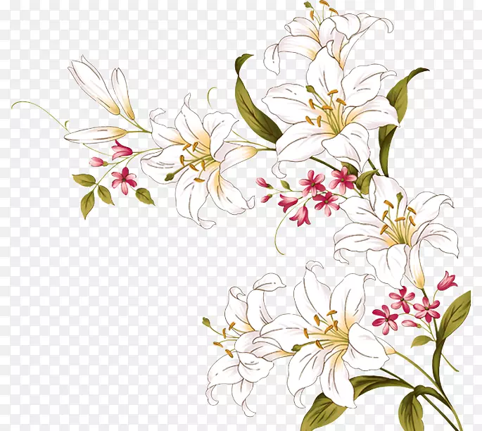 �ٺϻ�-������