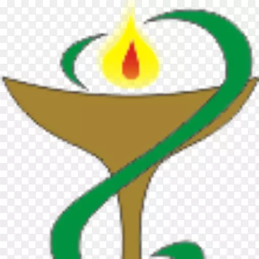 ����Ҷֲ�ﾥ����ֲ�������-������