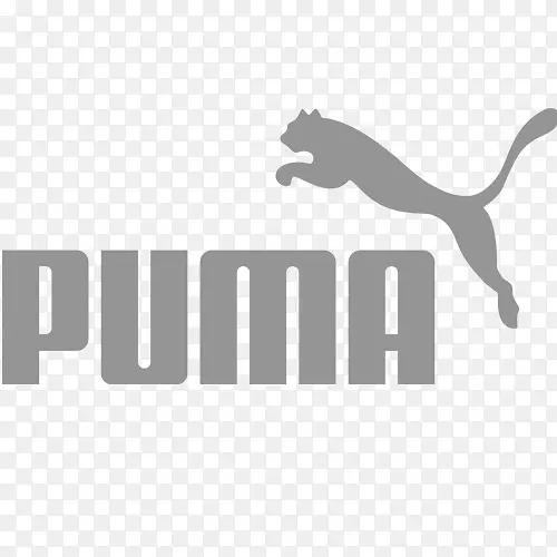 Amazon.com����һ���·�-���ϴ�˹-������