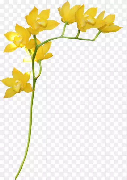 �ƻ����껨��-������