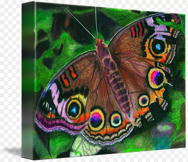 ����-�й���ĺ���-������