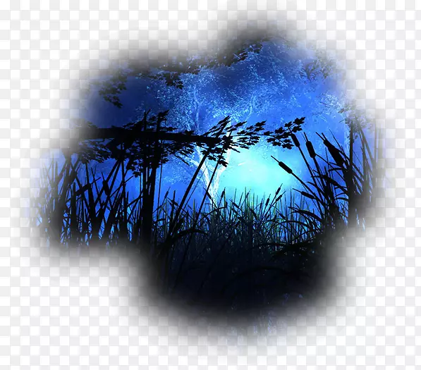 YouTube�����ֽ����1080 p-YouTube-������