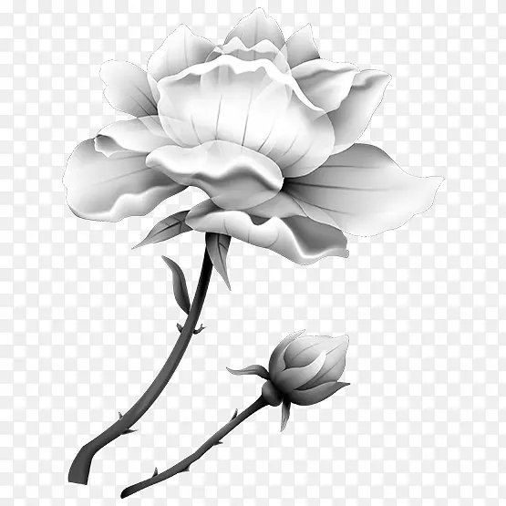 ��԰õ�廨ֲ�������-��-������