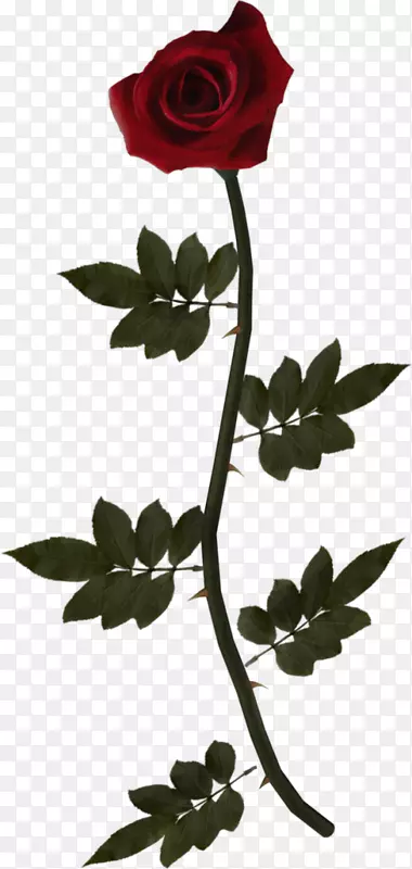 ��԰õ�廨-������