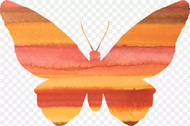 �������������ֽ������-����-������