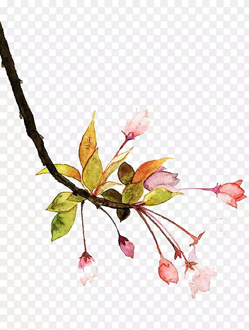 ˮ�ʻ�Bilibili le.com�ٶ�Tieba-ˮ�ʻ���-������