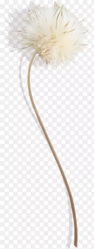 ����ֲ��-������