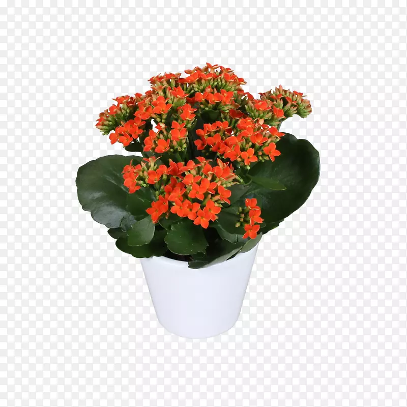 ���˽ڻ����л���ʮ���һ�-������