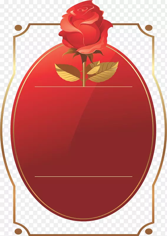 ��Ӱ������-������