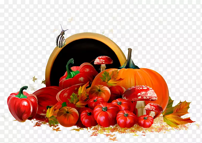 ����������-����-������