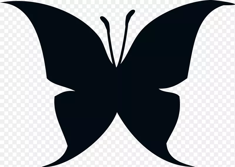 �����Գ�ͼ��-��������-������