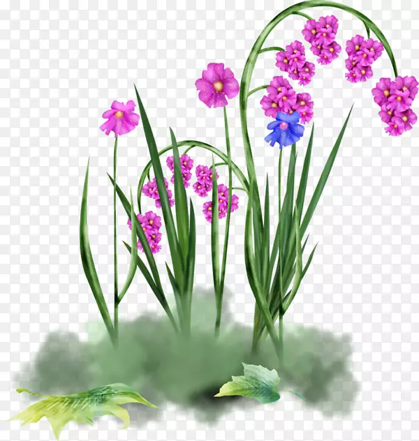 �����������-��-������