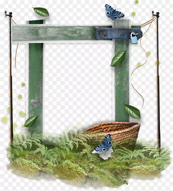 ����ľ������-������