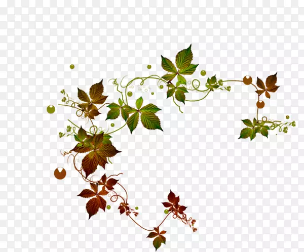 ������ҳ������-������