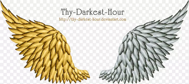 ��ʹ��������-������