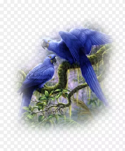 ������-������