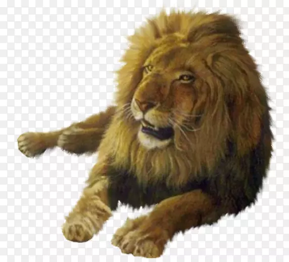 ʨ�������ֽ�Ĵ�����-ʨ��-������