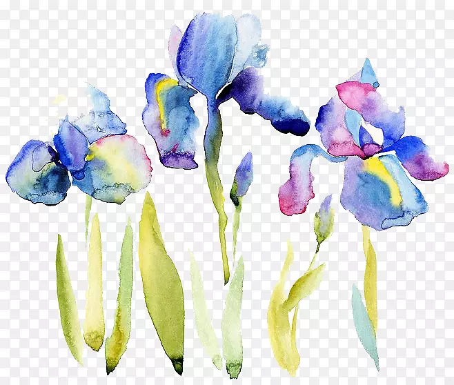 ˮ�ʻ���ͼ.ˮ�ʻ���-������