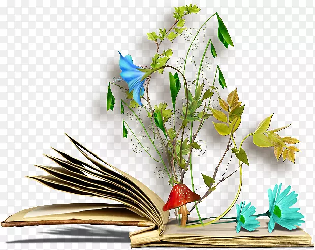 ������-������