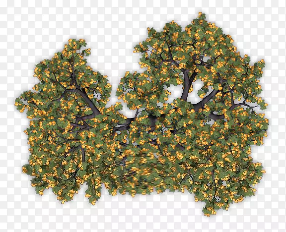 ����-������