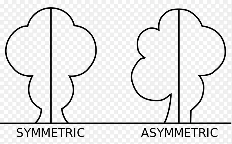 ����ԳƲ��Գ���״-������