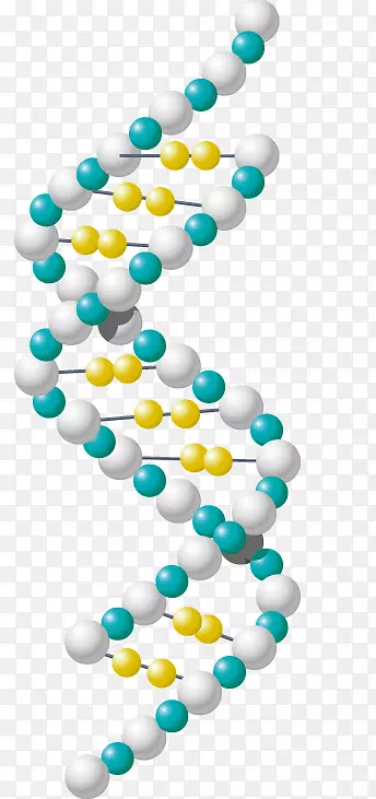 ʵ���ҿ�ѧ������-��ѧ-������