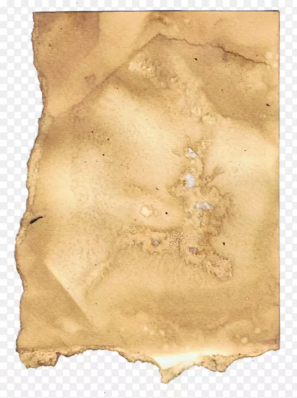 ֽ����Ʋ���-ˮ����Ⱦ-������